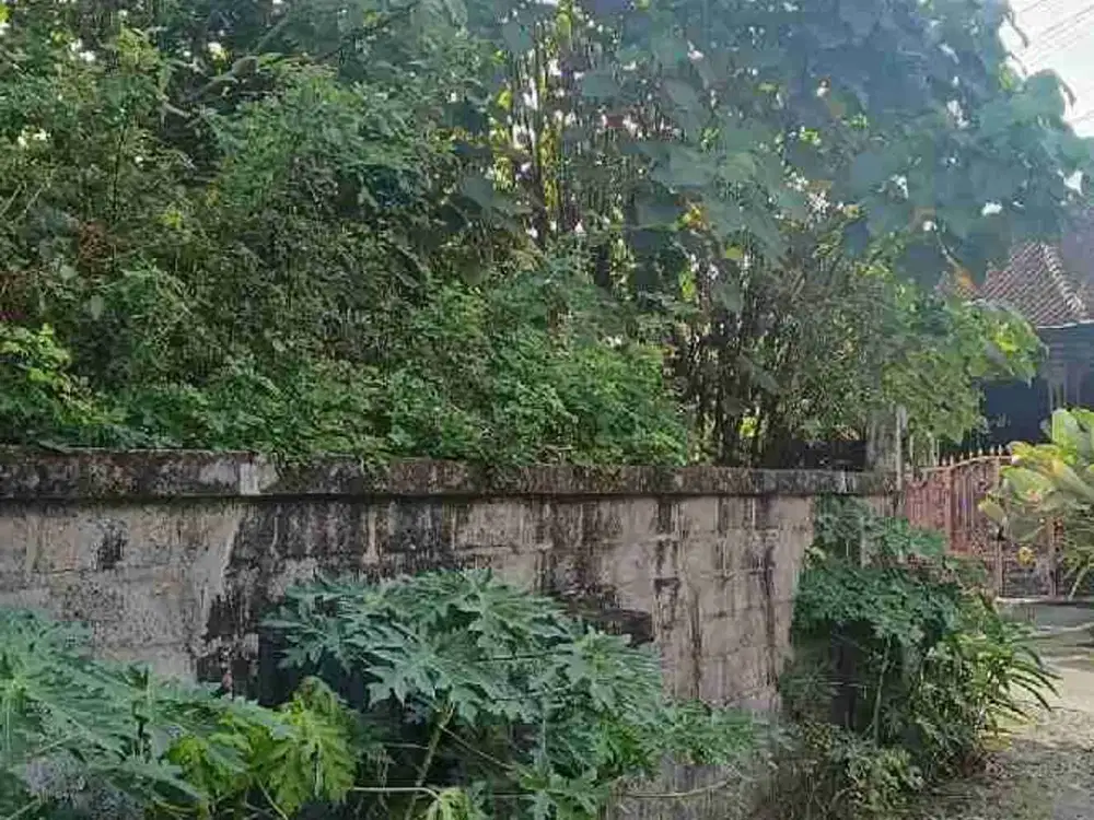 Tanah di jual lokasi strategis 4 are di batubulan Gianyar
