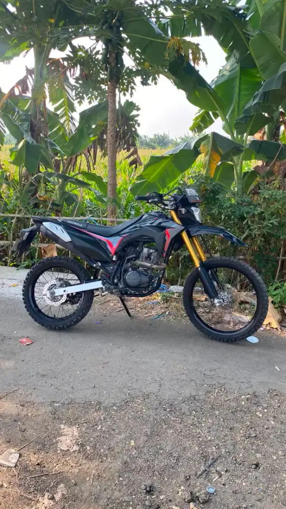 Honda crf thn 2019
