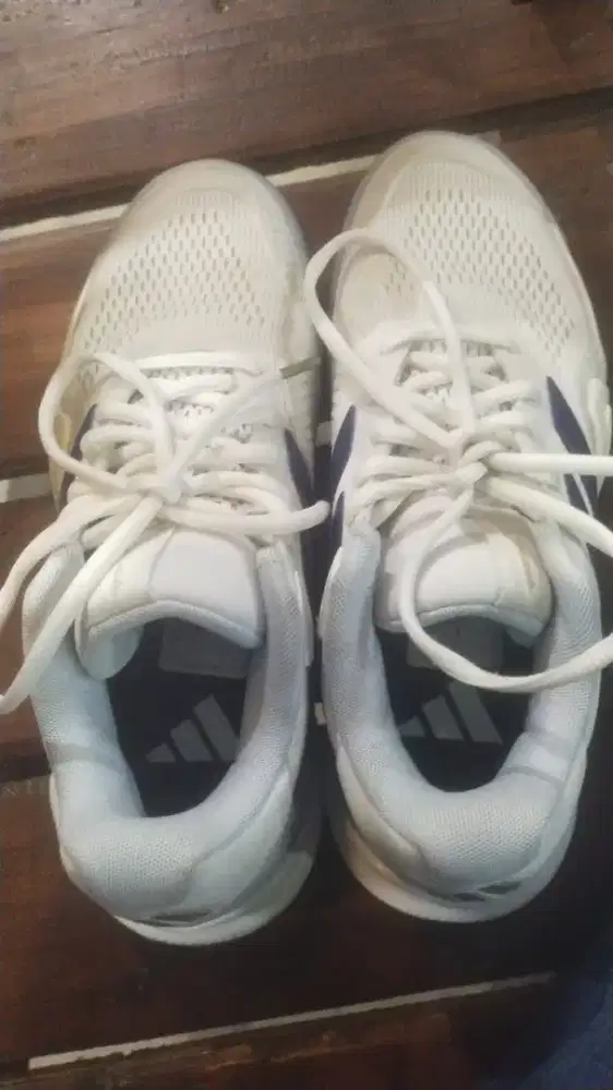 Sepatu Adidas ori
