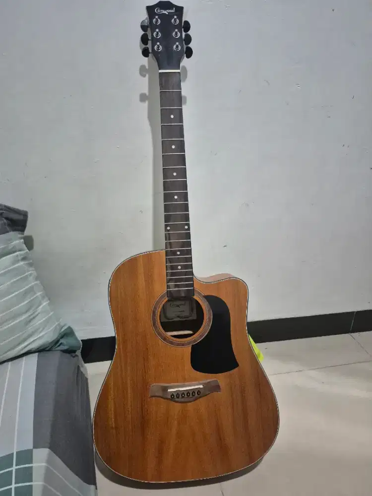 fs gitar camnwood