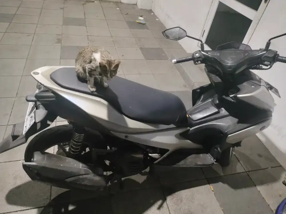Yamaha Aerox 2019