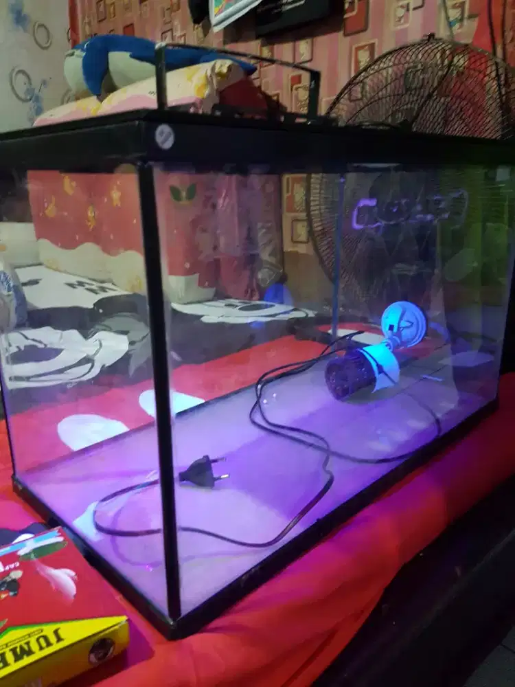 Jual cepat AQuarium fullset lampu dan blower