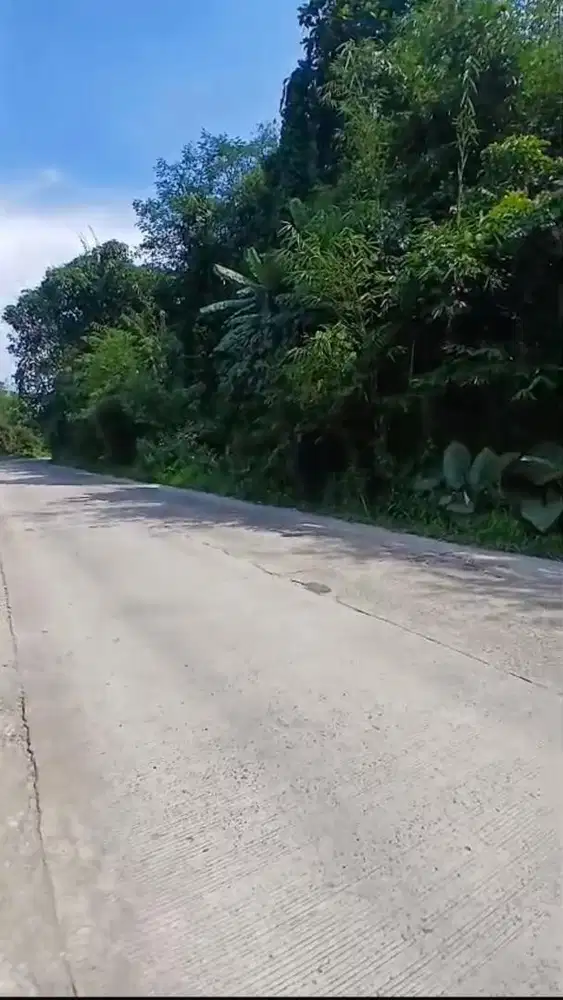 Tanah darat kavling 10 hektar lebak banten