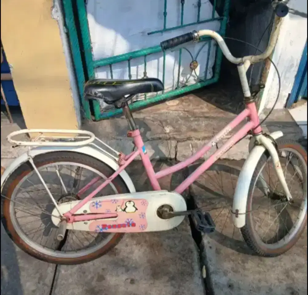Sepeda Anak Perempuan Merk evergren