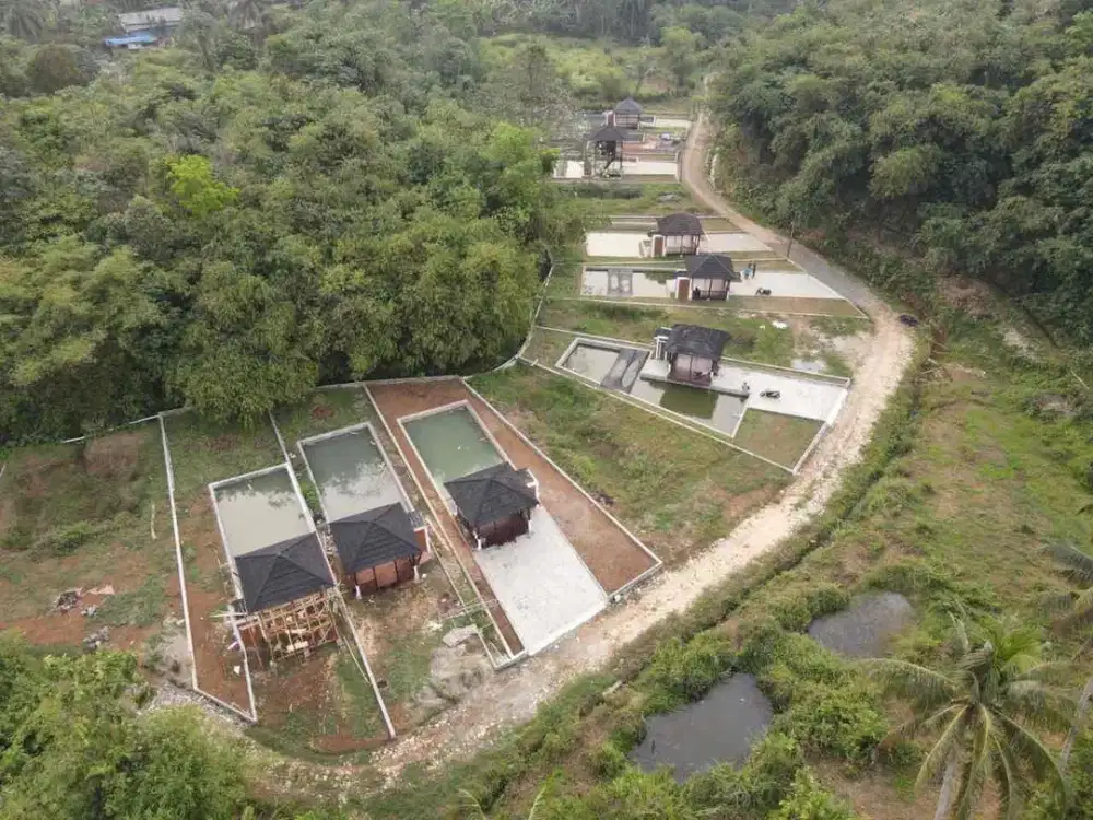 Kavling fishpond untuk investasi dengan lokasi strategis di ciampea, bogor