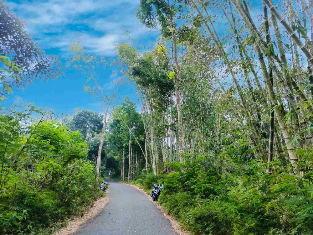 Tanah Murah Mangku Jalan Girikerto Turi Sleman Yogyakarta