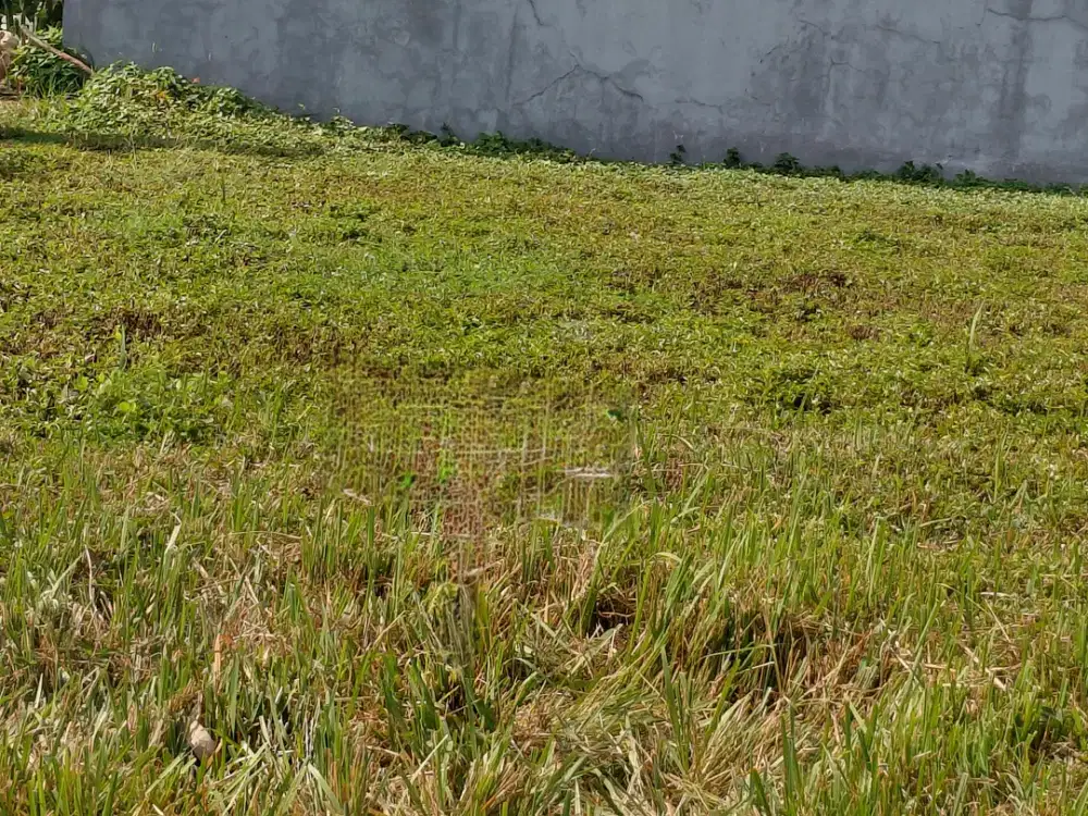 Jual Tanah diCitraland Utama Surabaya Barat