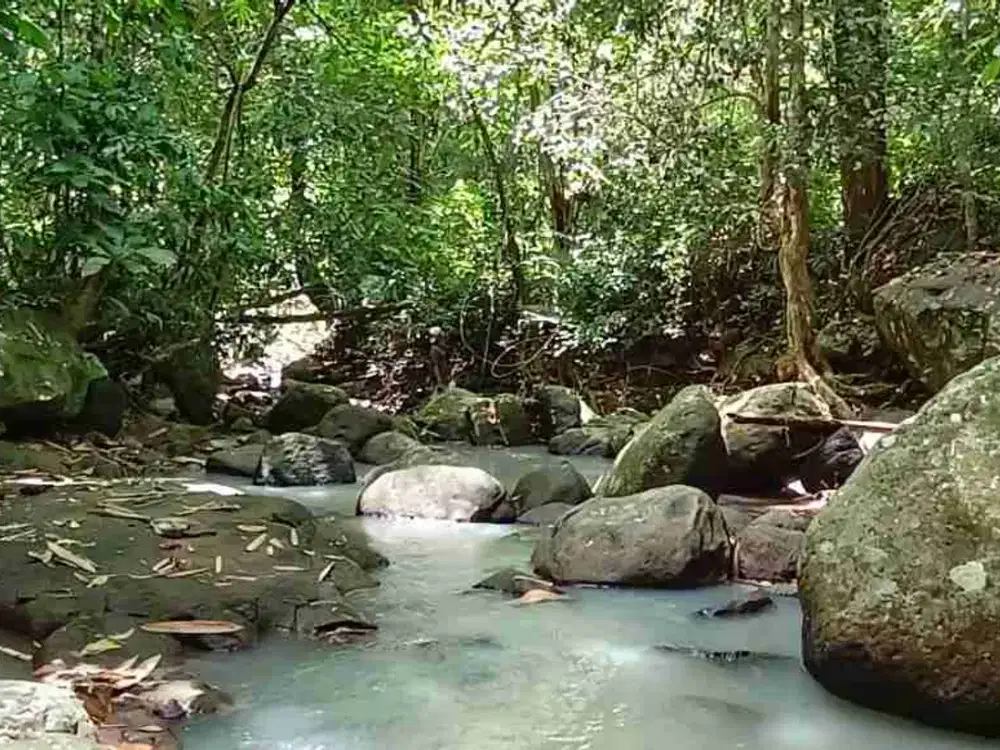 jual tanah kebun Los sungai murah di tabanan bali
