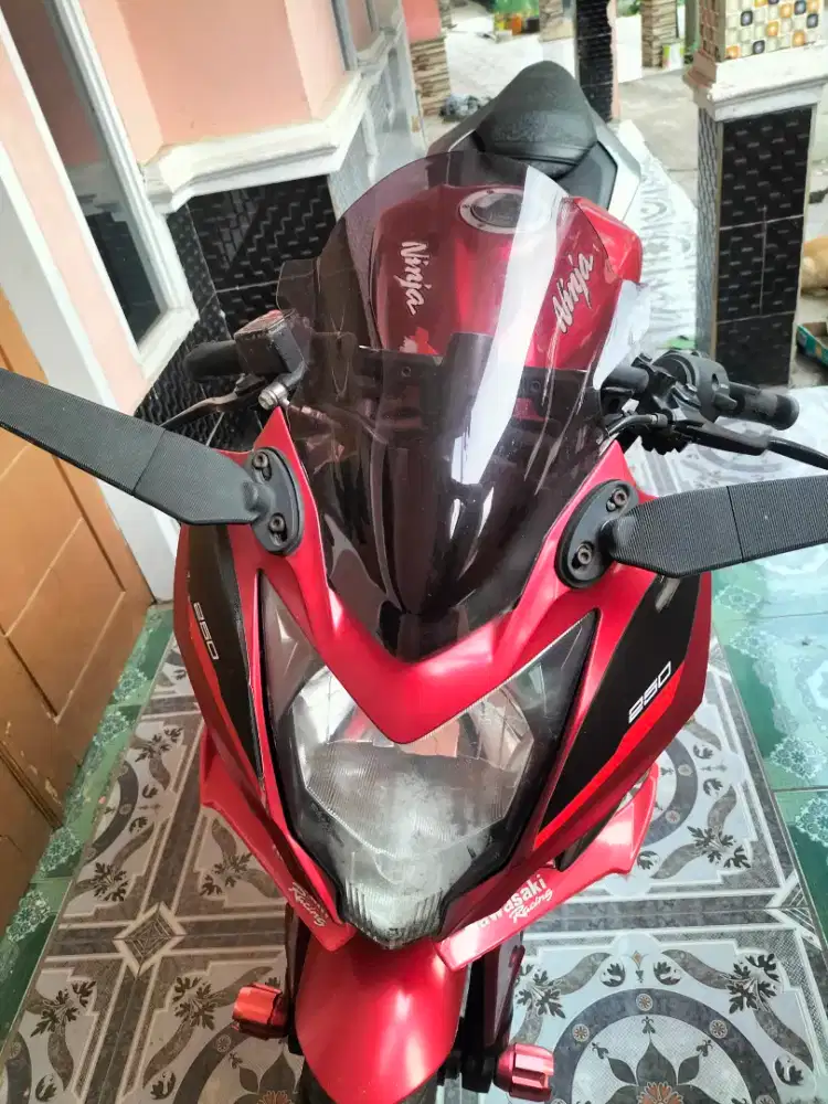 kawasaki ninja 250 sl