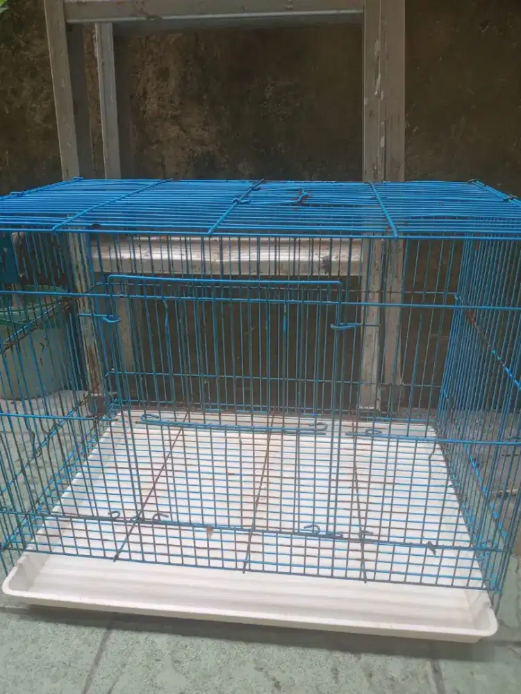 kandang ukuran 50x40 50 nett lok kemanggisan jakbarr