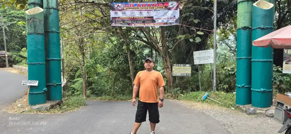 Sopir pribadi pengalaman