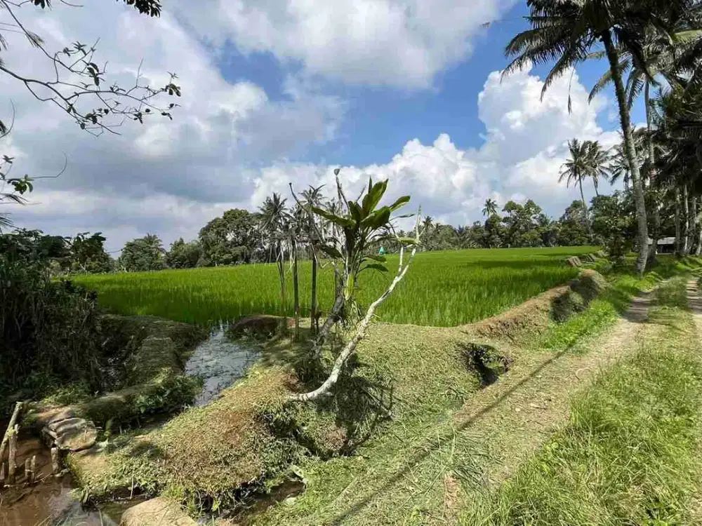 jual tanah flat datar di tabanan bali.