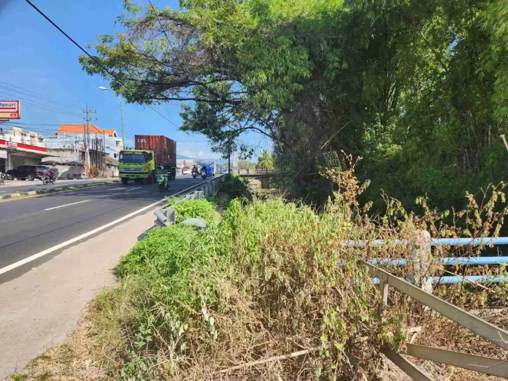 tanah murah dibawah pasaran di jalan raya purwodadi arah malang surabaya, BU SEGERA hanya 200 m dari kebun raya purwodadi, bagus buat investasi. BU SEGERA