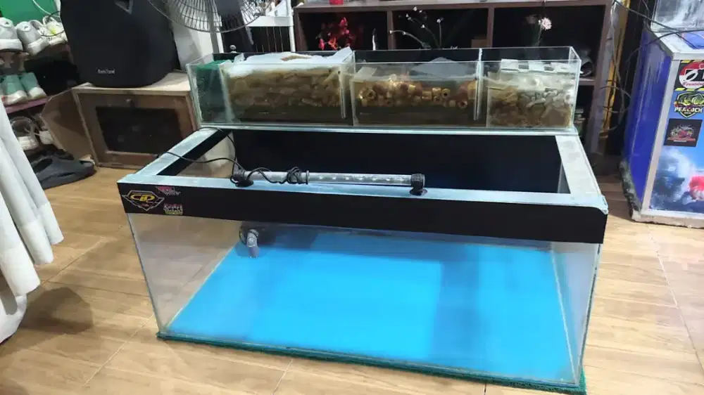 Aquarium full stiker