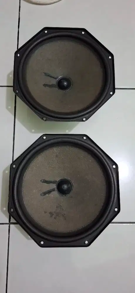 Speaker Philips 8 inch type AD 8066