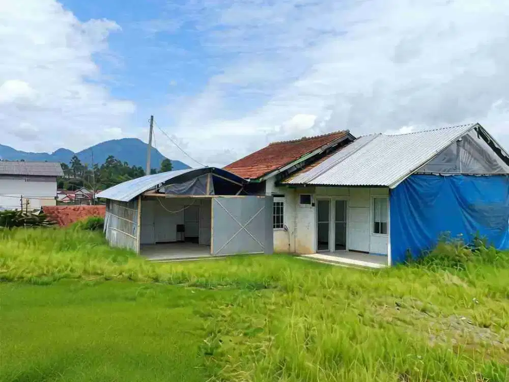 Dijual Tanah Kavling Berikut Rumah Cocok Untuk investasi dibangun Villa Maupun Sekolah