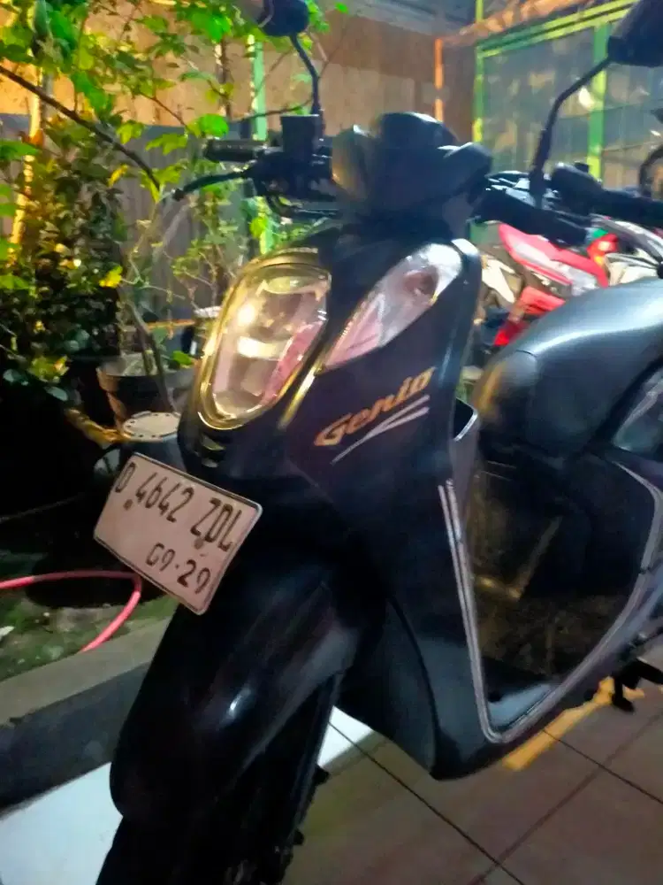 Honda Genio 2019