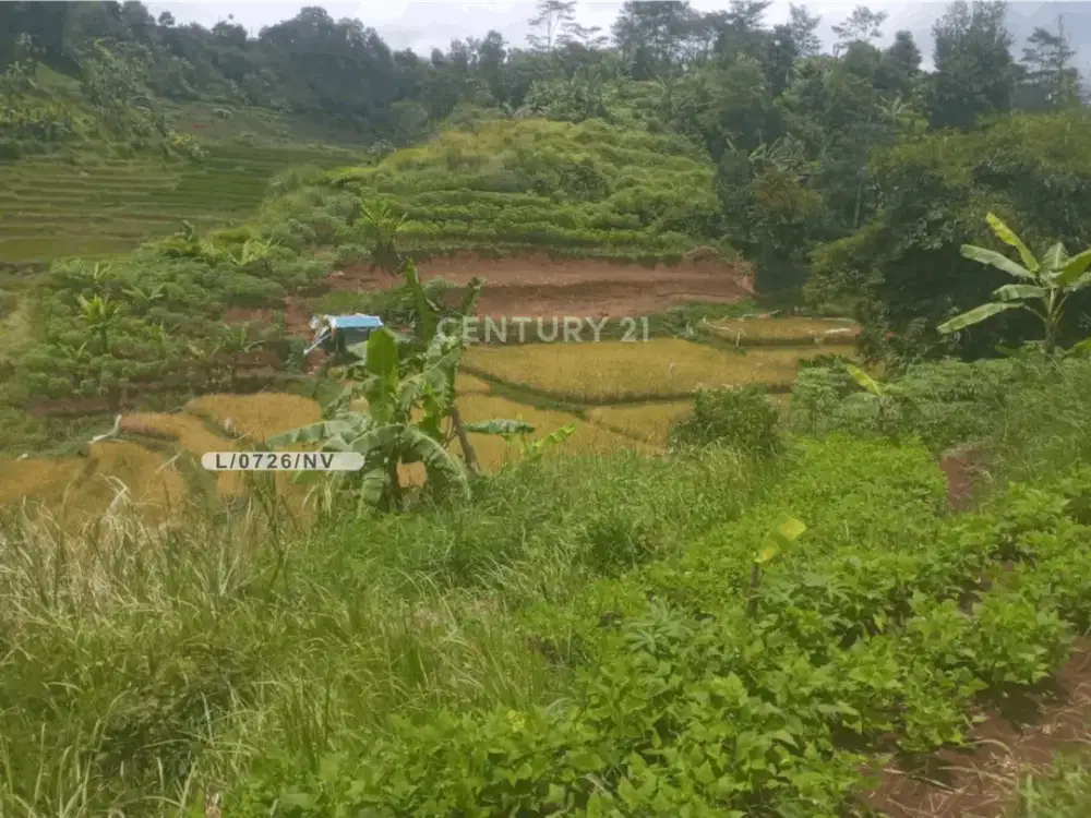 Tanah Luas Asri Siap Bangun Di Melatiwangi Ujung Berung Bandung