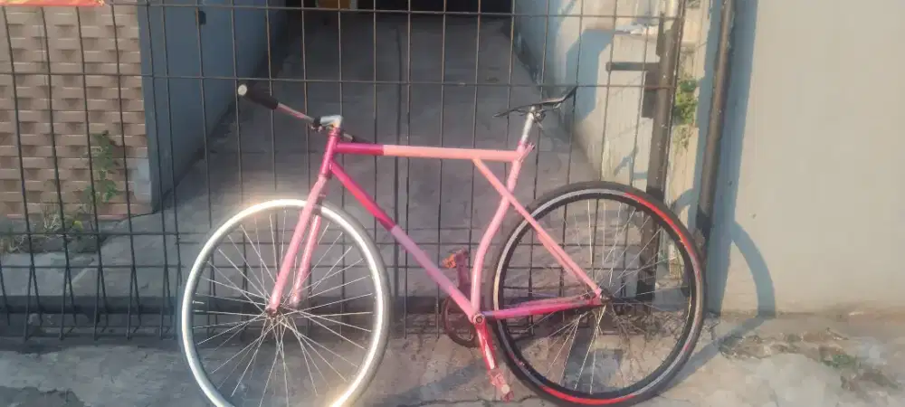 Fixie terpedo BU