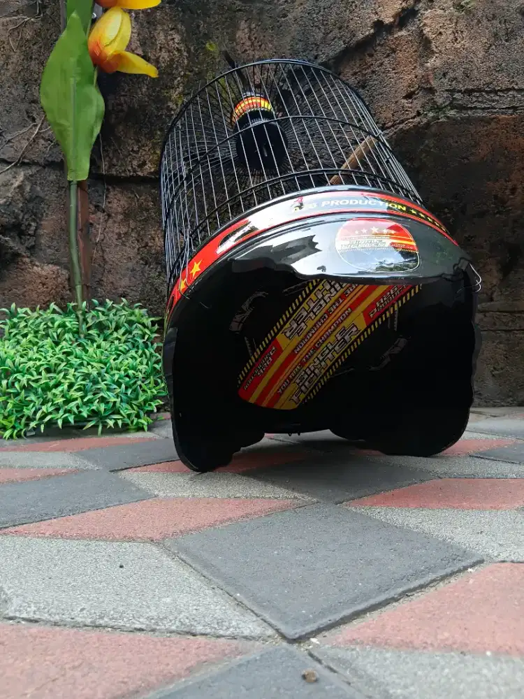 sangkar lovebad / kutut seperti baru maknyuus.