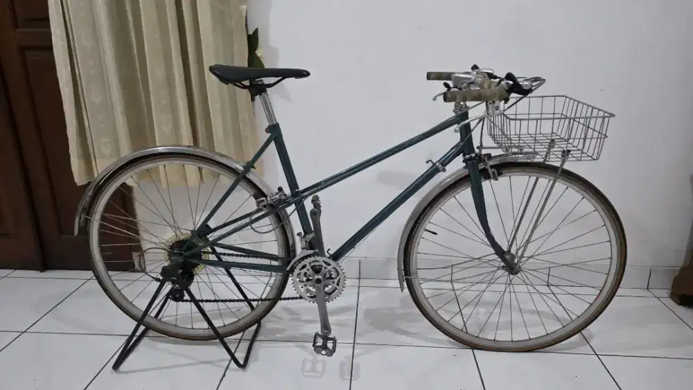 Mixte Raleigh Wisp