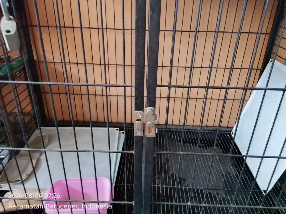 Kandang anjing dan kucing