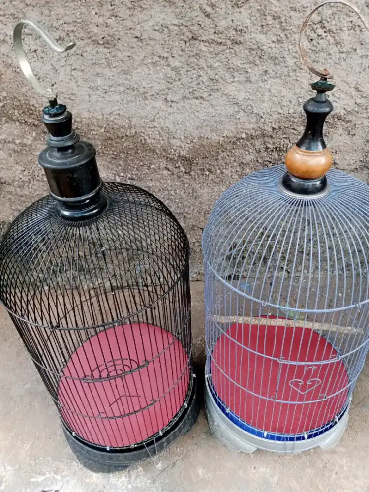 Jual kandang love bird dua biji