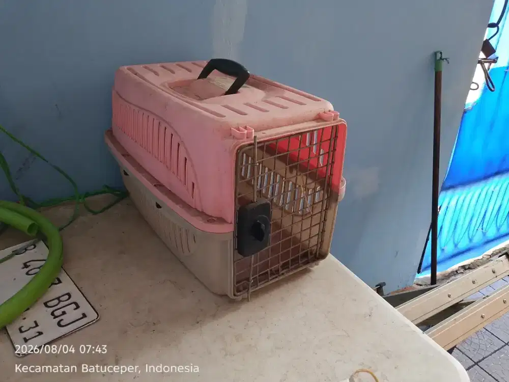 Kandang travel kucing