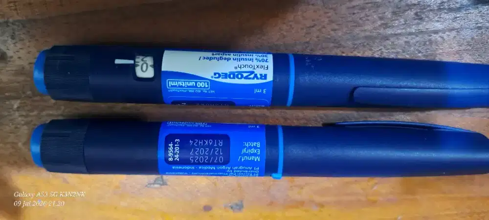 Pen insulin Ryzodec dan Sansulin