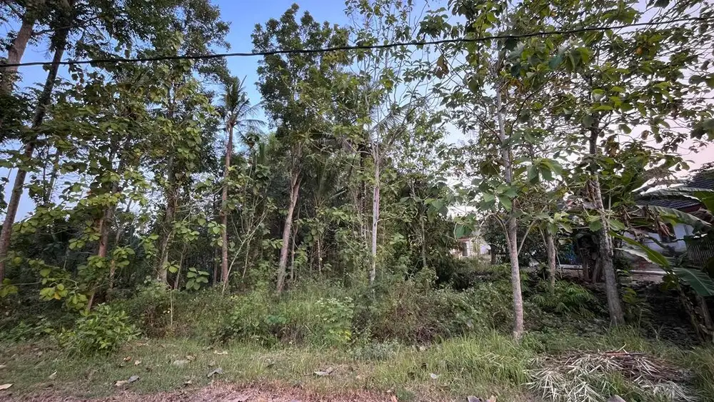 Dijual tanah di Wates Kulonprogo
