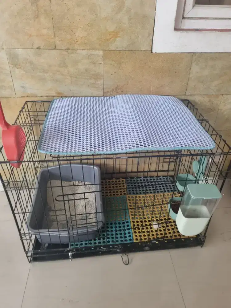 Kandang kucing bekas
