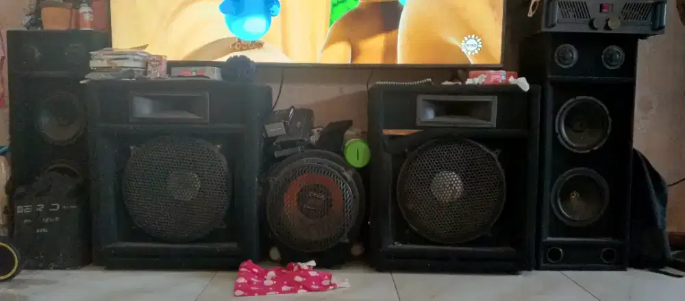 Speaker Surround