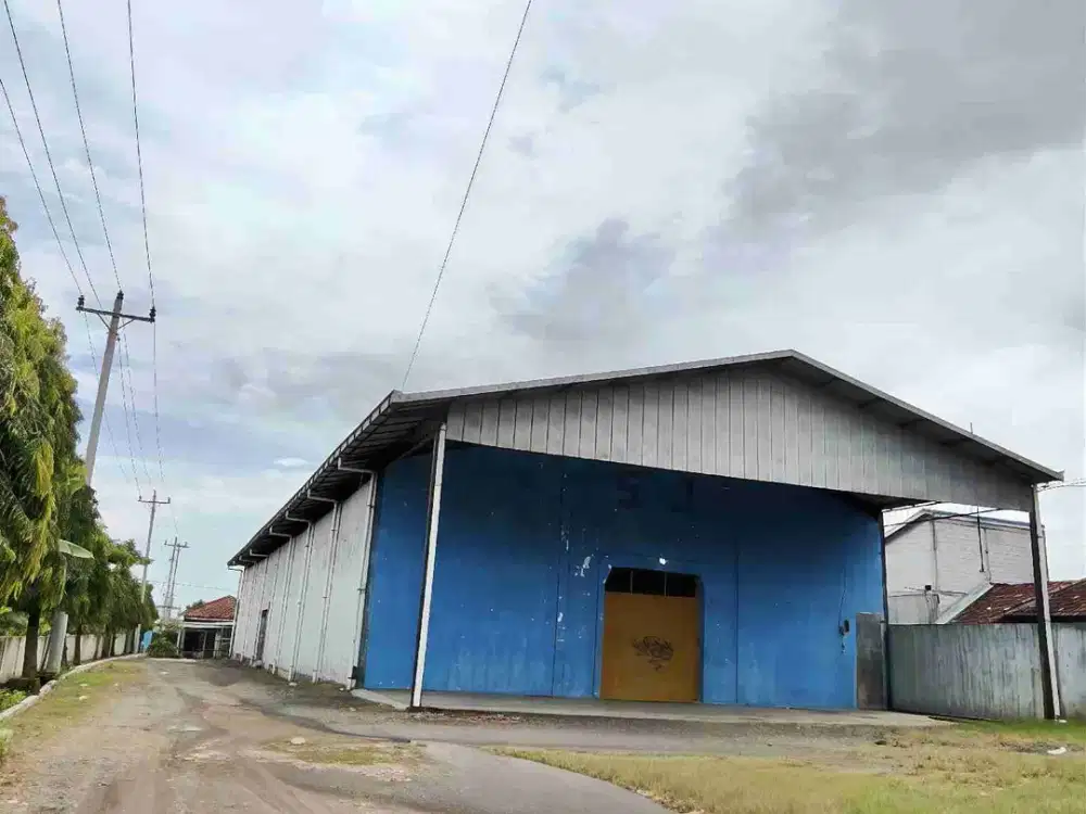 JUAL CEPAT GUDANG DEMAK, LUAS TANAH 3,3HA