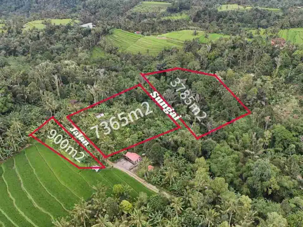 jual tanah kebun view sawah, gunung dan los sungai cantik di tabanan bali.