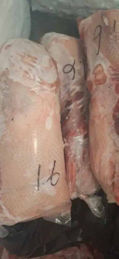Bebek potong peking dan hibrida murah