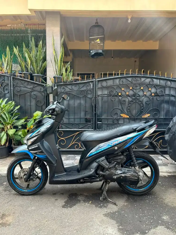VARIO KARBU 2011