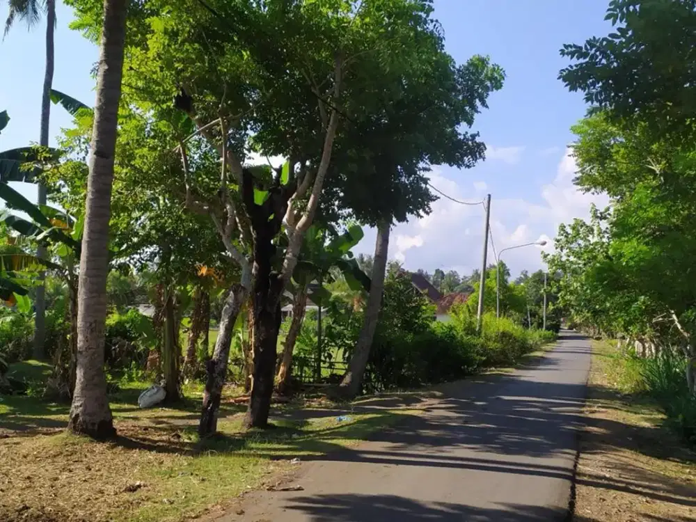 Dijual Tanah Hook Position & Tourism Zone, Los Pantai di Pebuahan – Investasi Pariwisata Bali Barat