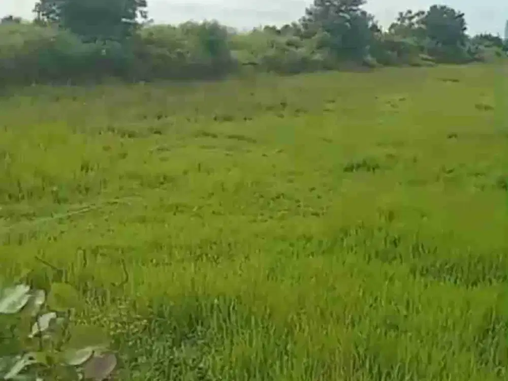 Tanah Strategis di Dekat Solo Baru Jawa Tengah