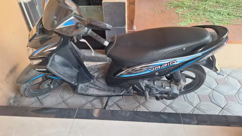 Vario CW 110 2013