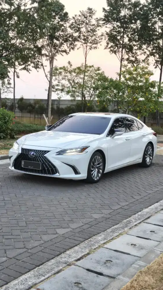 Lexus ES300 Hybrid Ultra Luxury 2023 NIK 2022 ES300h 530i E300 A6