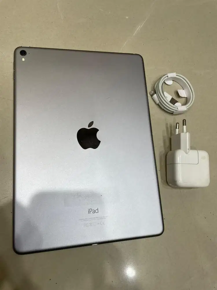 ipad pro 9,7 inch 32gb wifi only mulus
