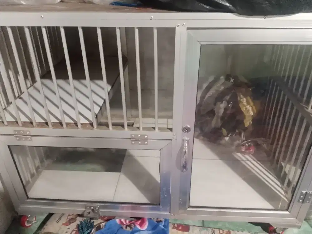 Kandang kucing  almunium