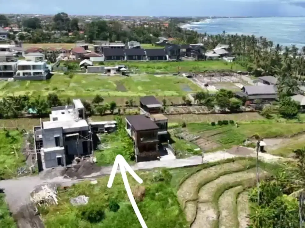 Dijual Tanah Kavling 2 Are Hanya 250 Meter ke Pantai Cemagi - Thumbnail 8