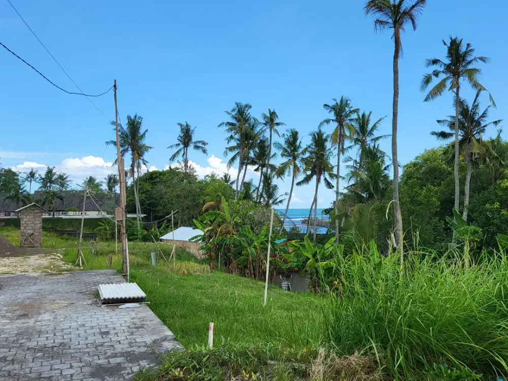 Dijual Tanah Kavling 2 Are Hanya 250 Meter ke Pantai Cemagi - Thumbnail 6