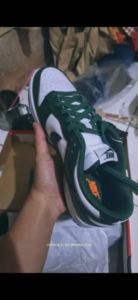 Sepati nike michigan sb