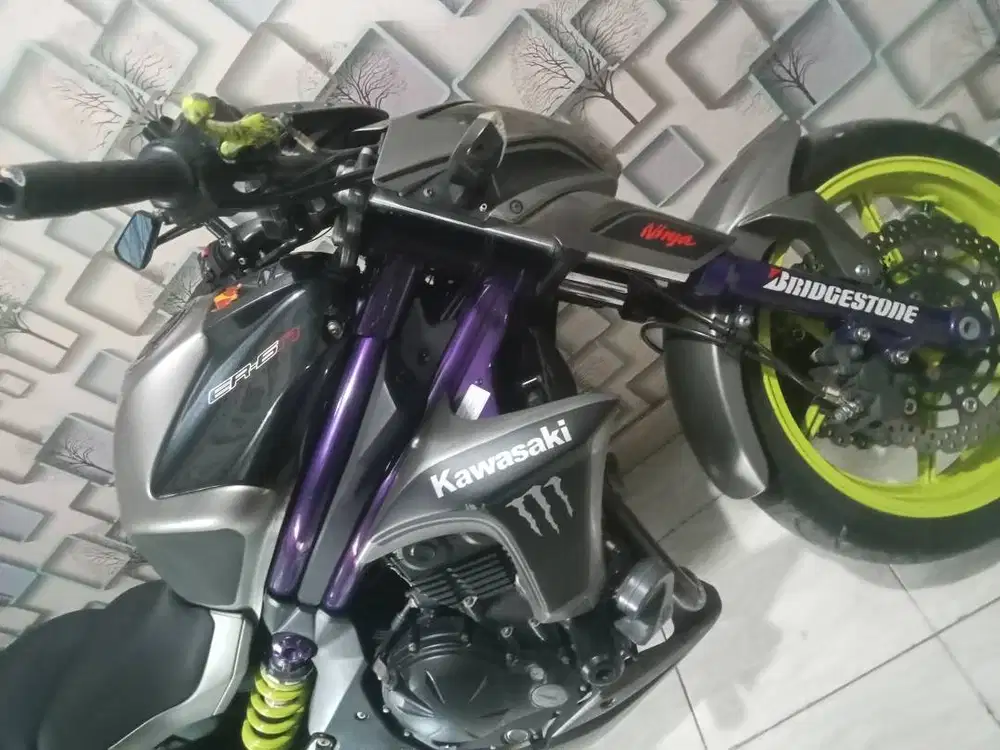 Kawasaki ninja er6n
