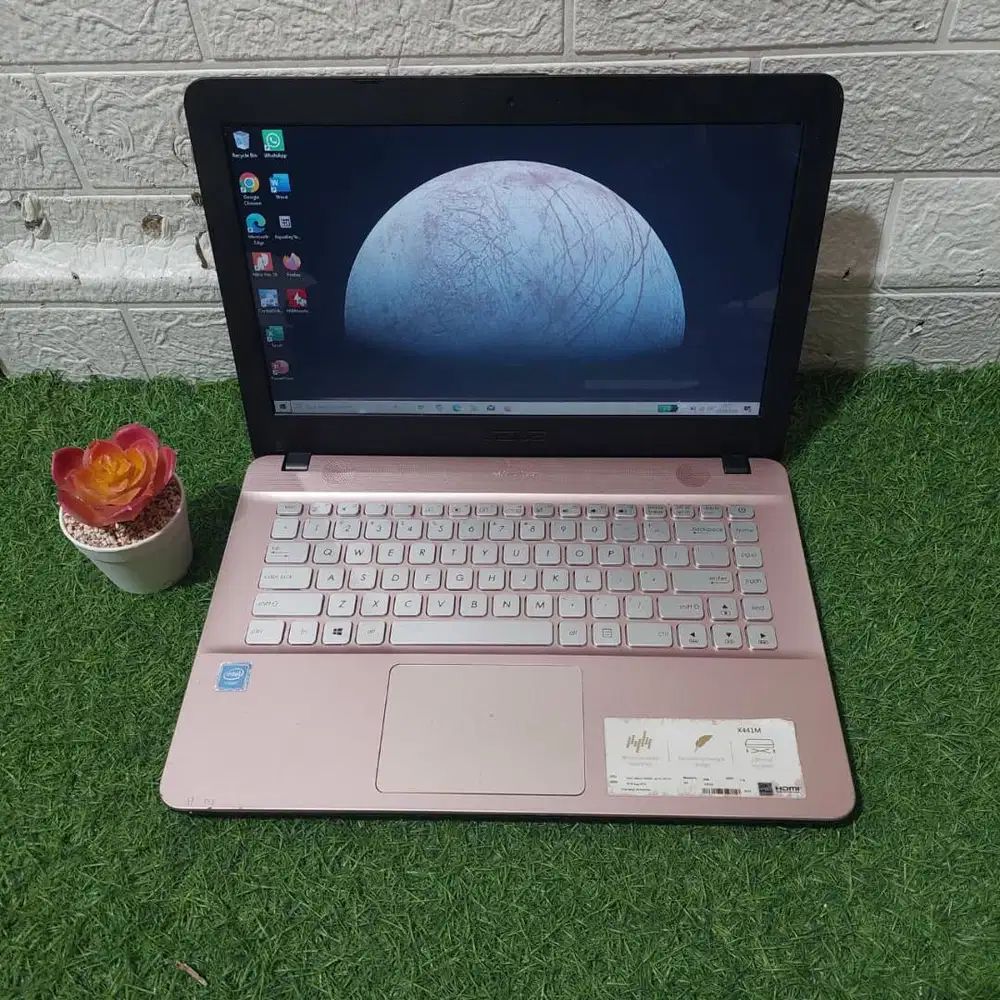 ASUS X441M INTEL CELERON N4000 RAM 4GB SSD 128GB ROSE GOLD