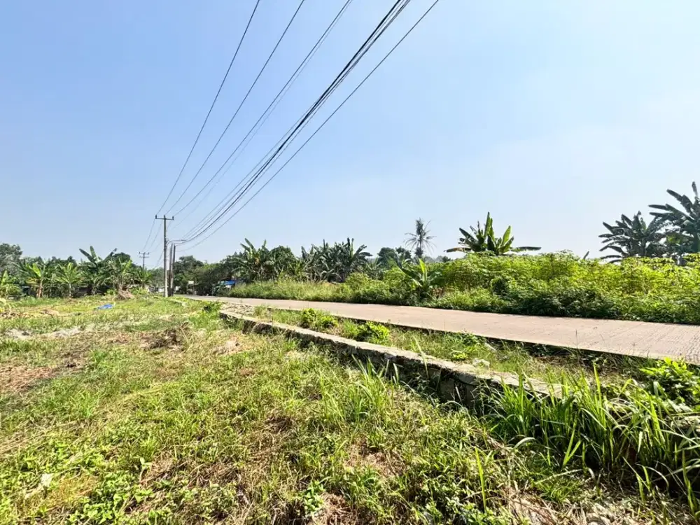 Kavling Murah Pinggir Jalan Cisauk Lokasi Berkembang Cicil Tanpa Bunga