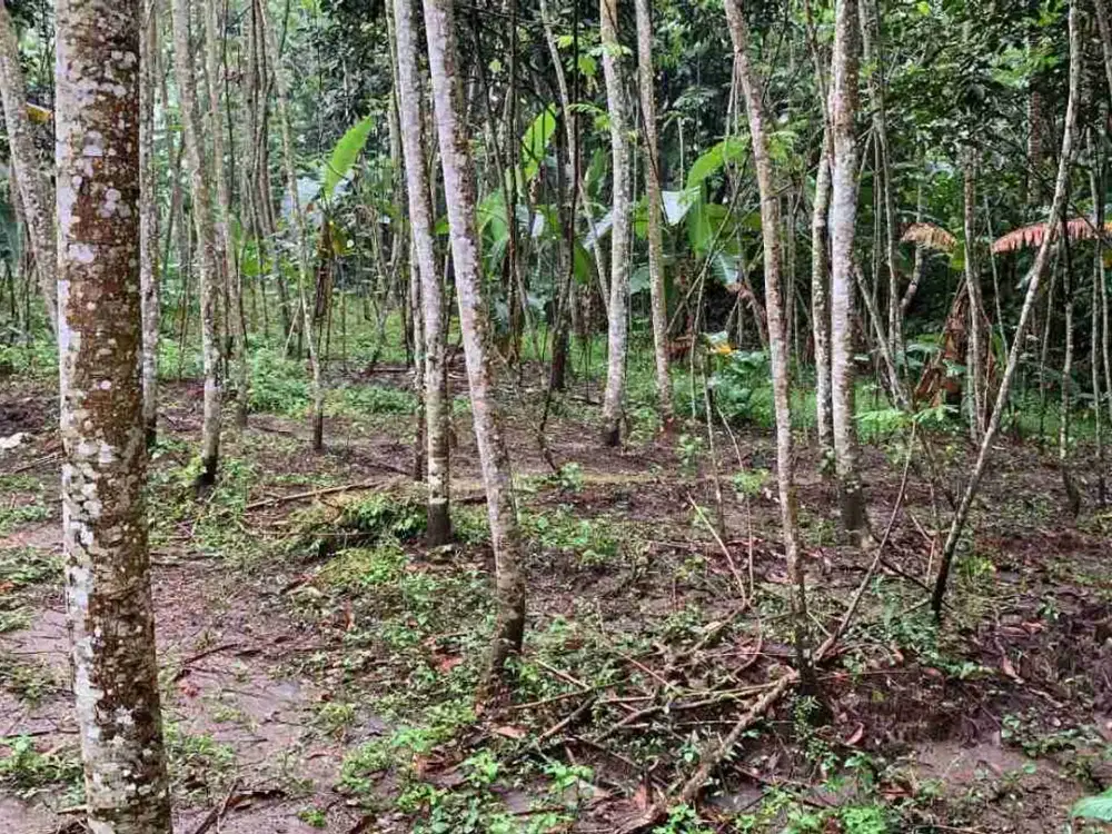 Tanah Pekarangan dekat RS dan sekolah politeknik