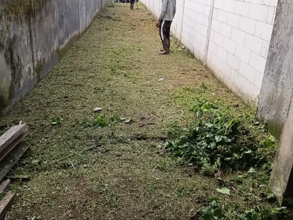 Dijual Tanah Raya Pengembungan